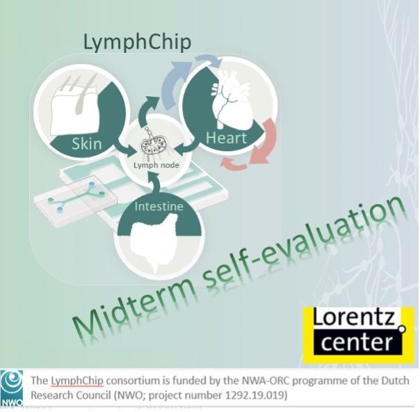 Midterm Self-evaluation LymphChip