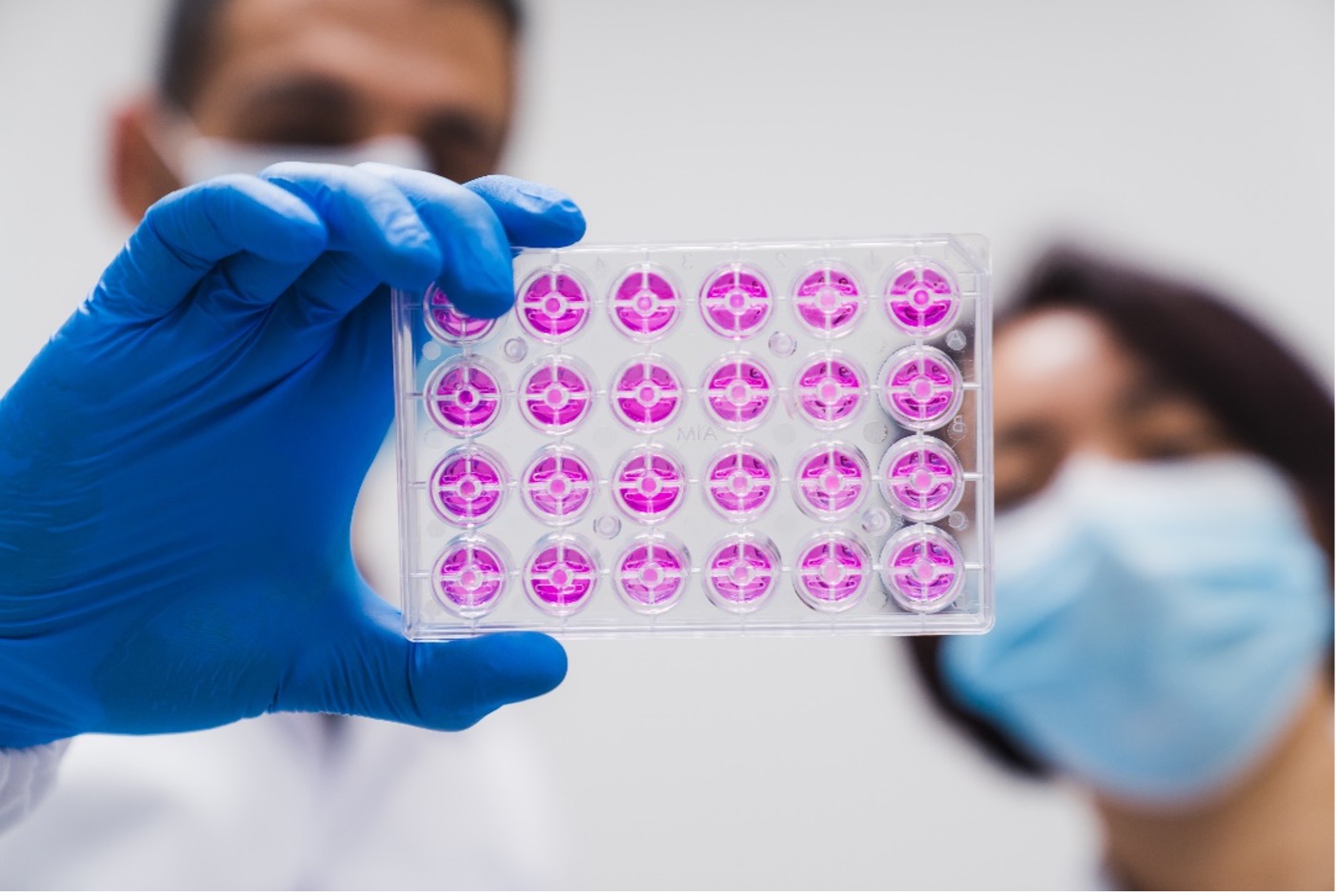 3rd Technology Seminar on the generation of phenotypic assays