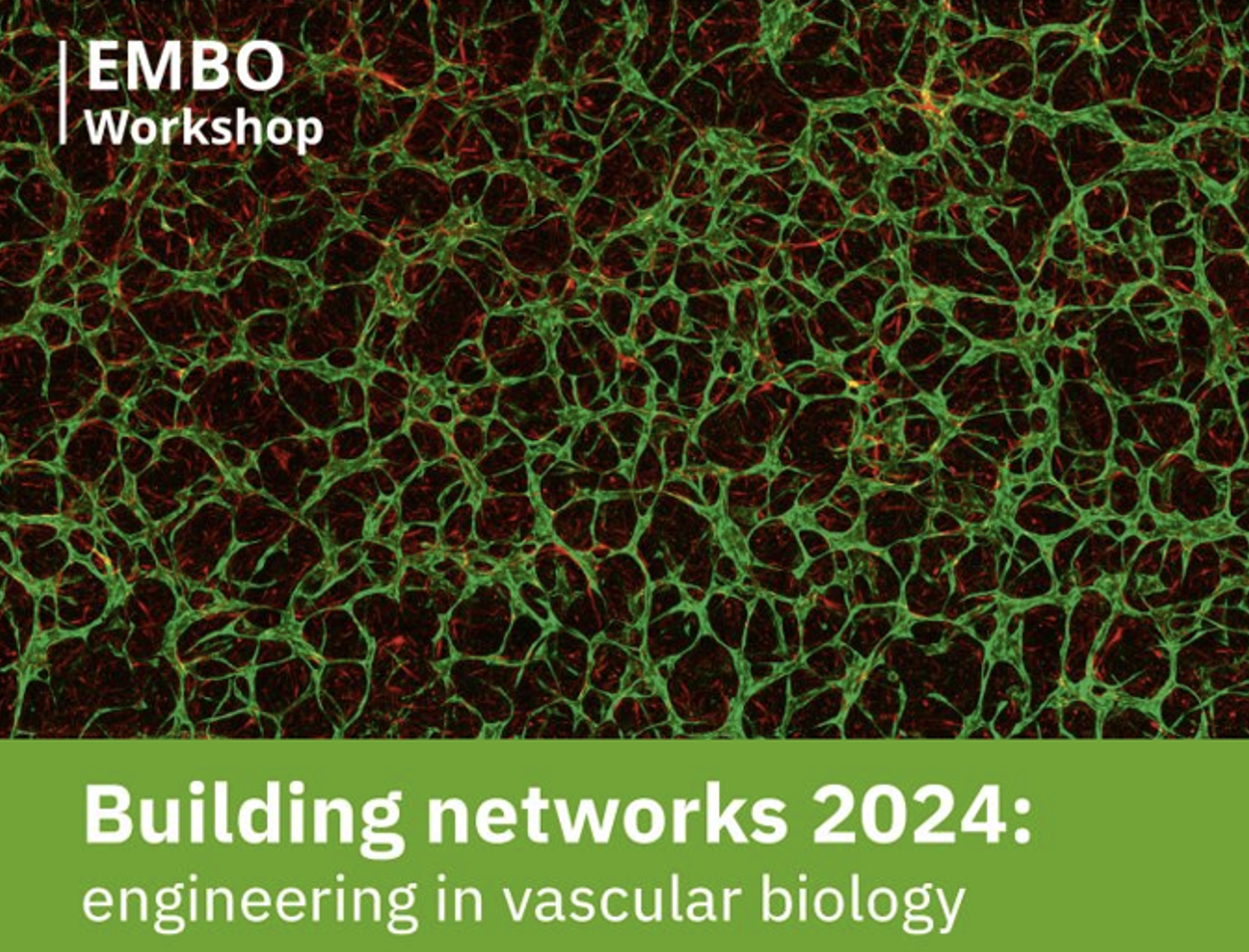 Theano Tsikari is invited to give talks and received a travel grant