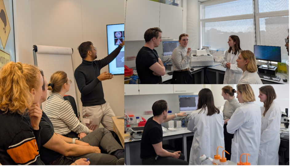 Successful Workshop on Maskless Photolithography & Nano-Indentation