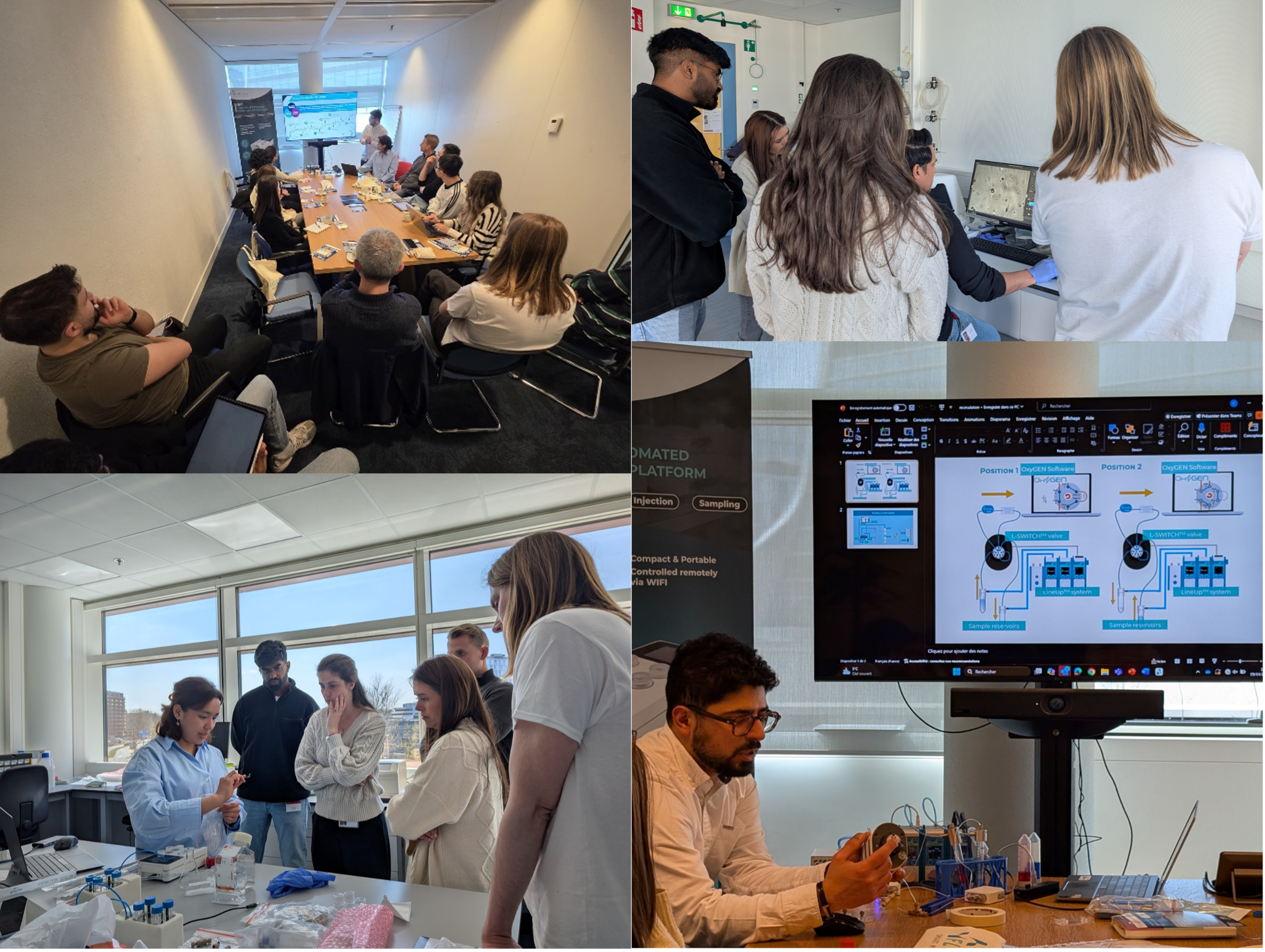 Successful Workshop on Microfluidics