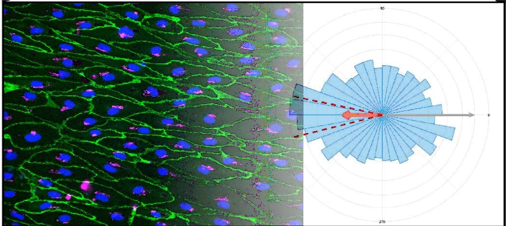 Application Note Fluigent